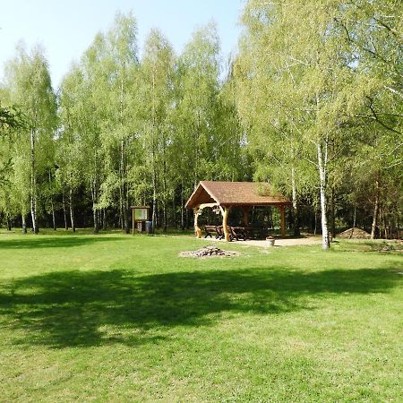 Dom Nasutow Villa Niemce Eksteriør bilde
